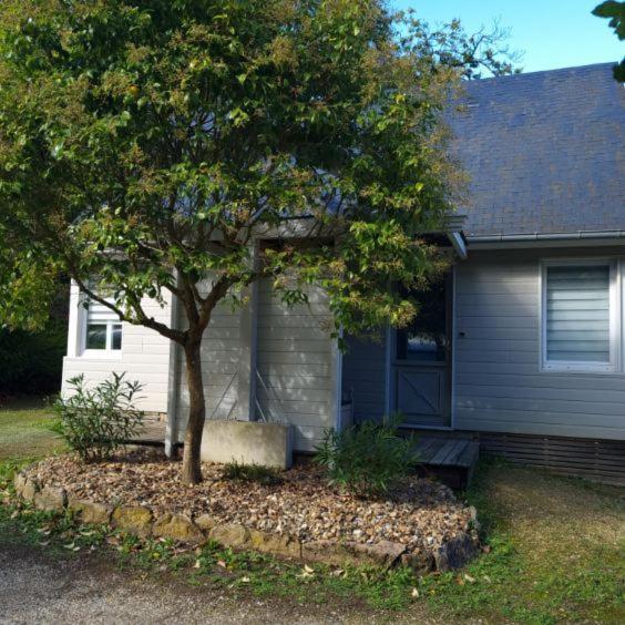 Les Chalets De Saumur, Piscine & Parc Boise, 100M Du Cadrenoir Kültér fotó